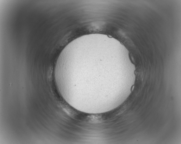 X0000068270660200605121847