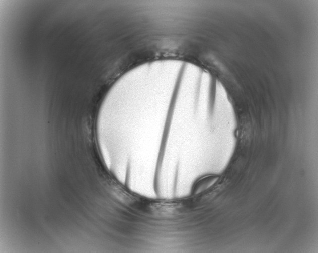 X0000068270661200605121847