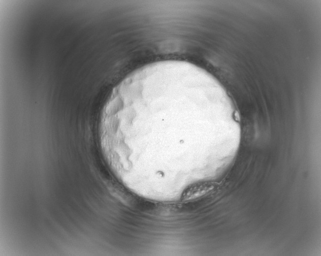 X0000068270662200605121847