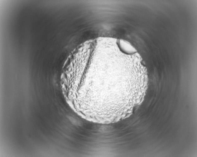 X0000068270663200605121847