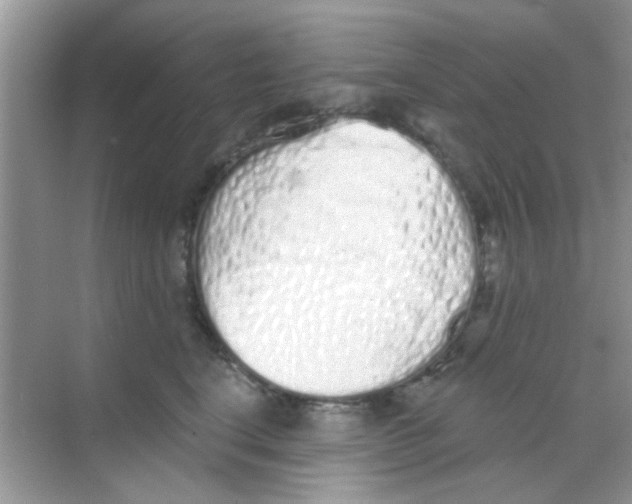 X0000068270664200605121847