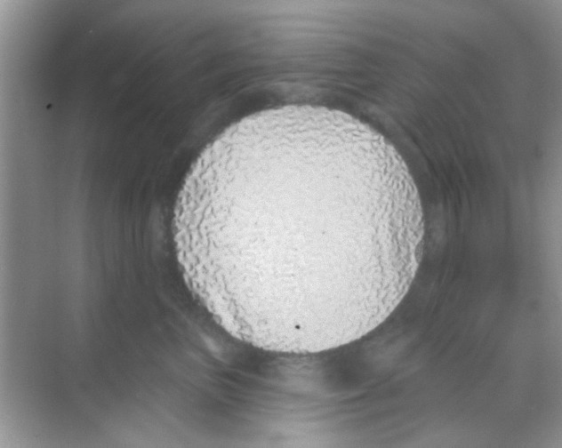 X0000068270667200605121847