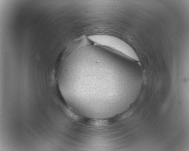 X0000068270670200605121847