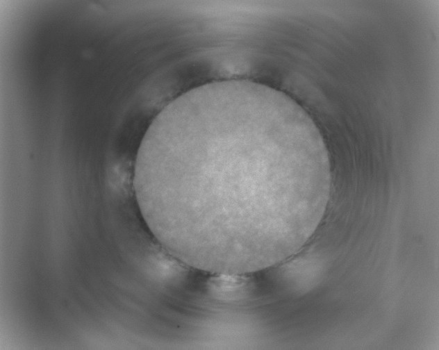 X0000068270672200605121847