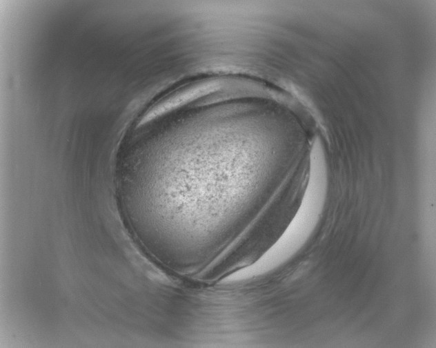 X0000068270673200605121847