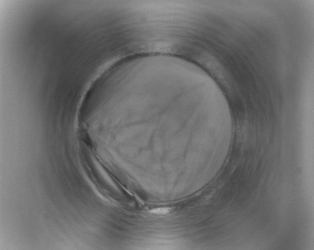 X0000068270674200605121847