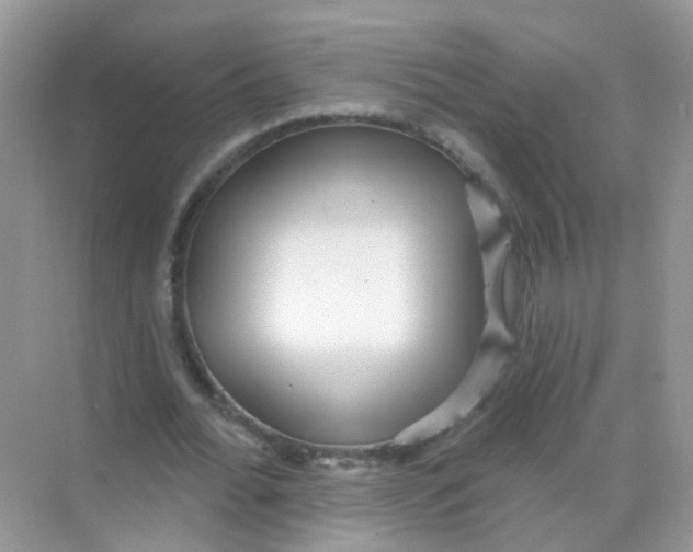 X0000068270676200605121847