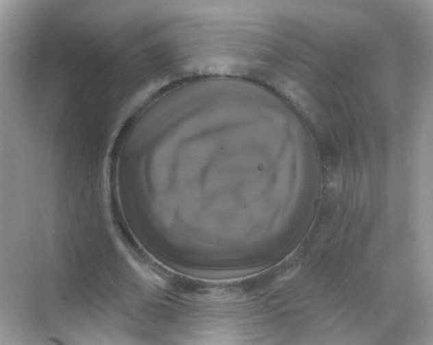 X0000068270678200605121847