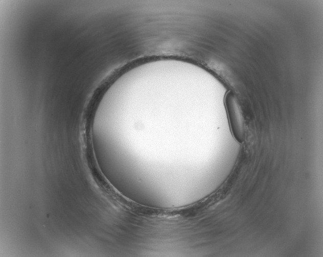 X0000068270680200605121847