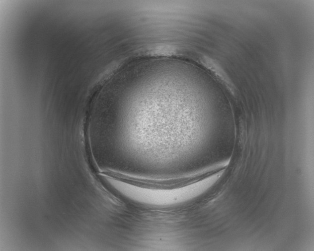 X0000068270681200605121847