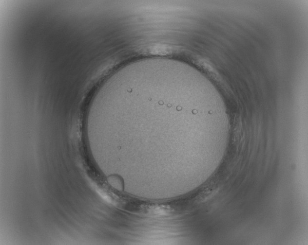 X0000068270683200605121846