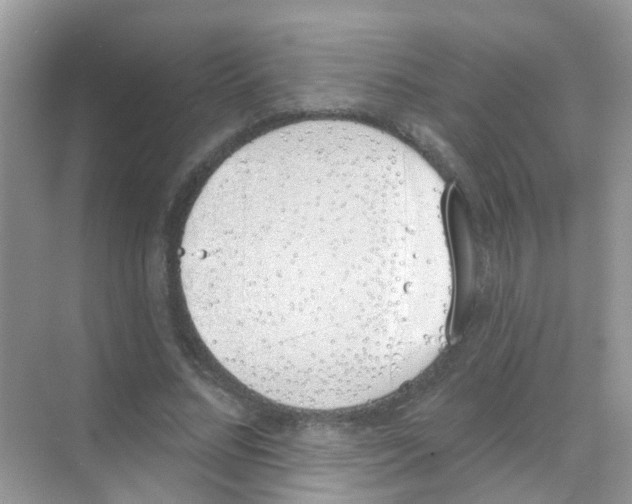 X0000068270684200605121846