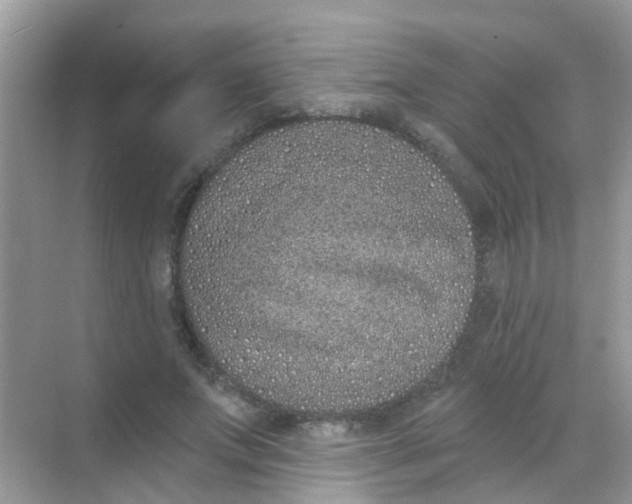 X0000068270687200605121846