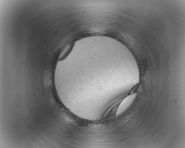 X0000068270689200605121846