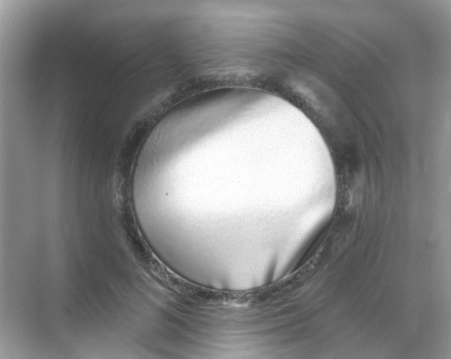 X0000068270692200605121846