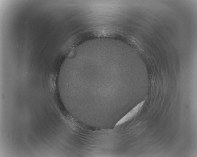 X0000068270695200605121846