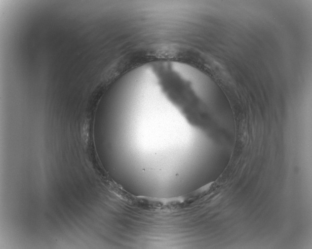 X0000068270697200605121846