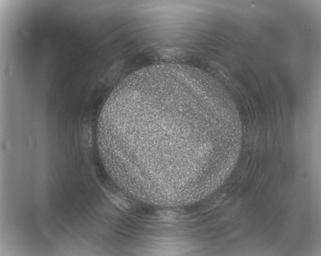 X0000068270703200605121846