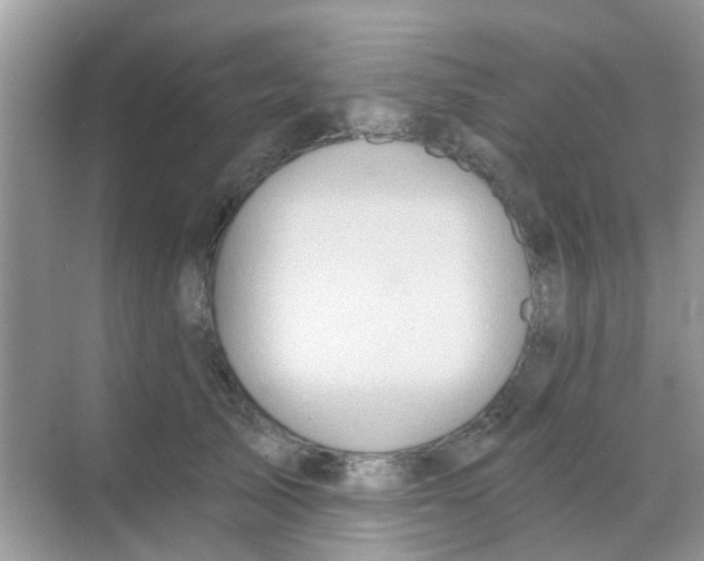 X0000068270705200605121846