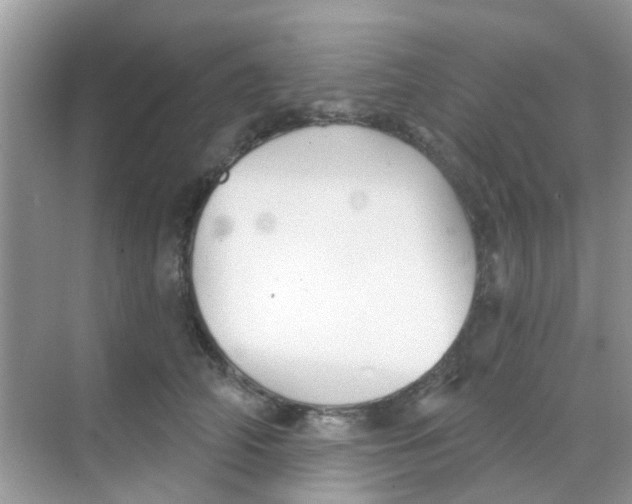 X0000068270706200605121846