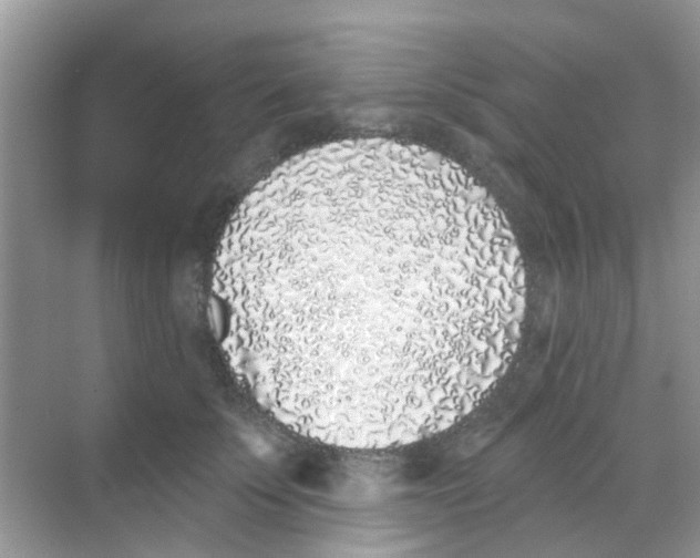 X0000068270707200605121846