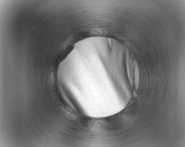 X0000068270716200605121846