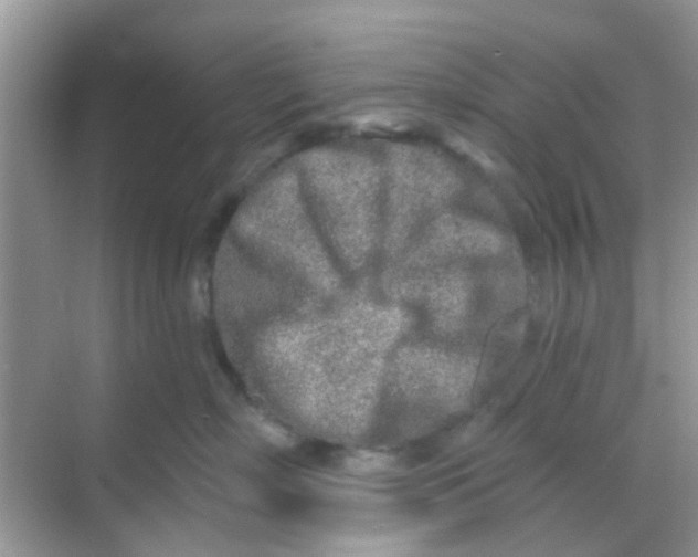 X0000068270718200605121846