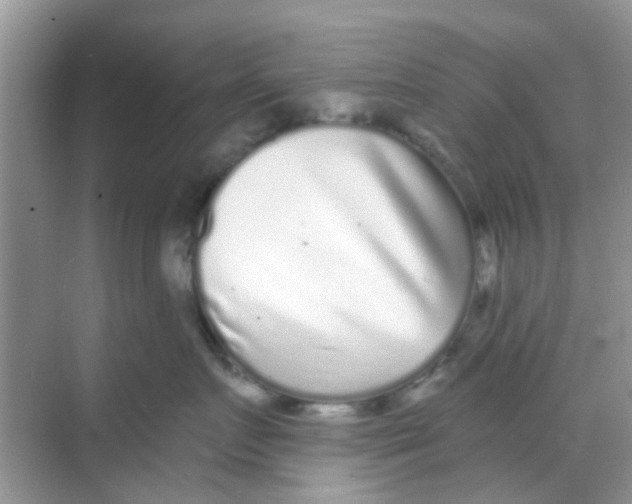 X0000068270719200605121846