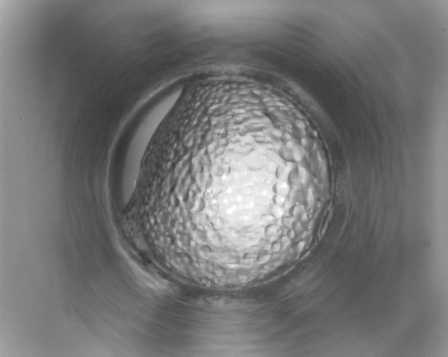 X0000068270722200605121845