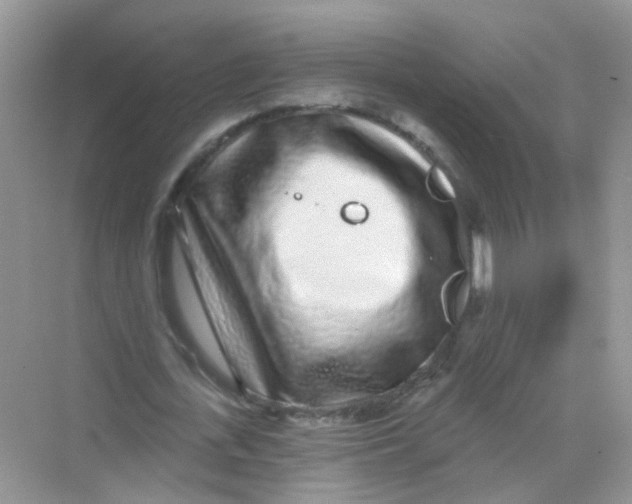 X0000068270723200605121845