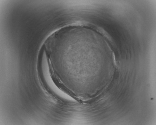 X0000068270724200605121845