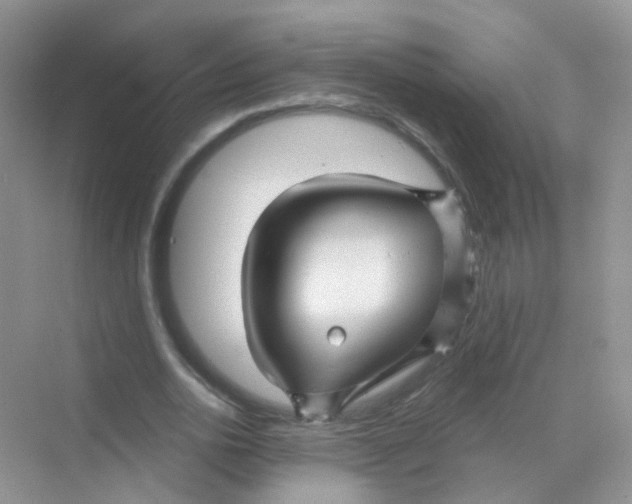 X0000068270726200605121845