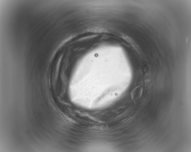 X0000068270727200605121845