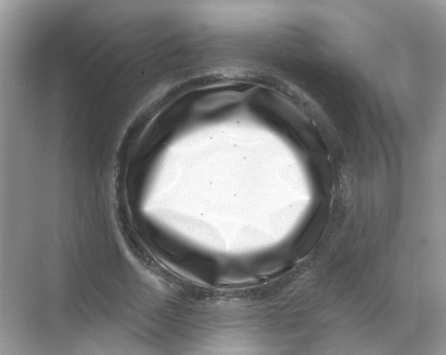 X0000068270730200605121845