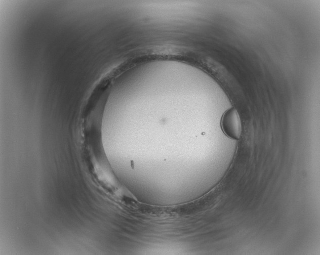 X0000068270731200605121845