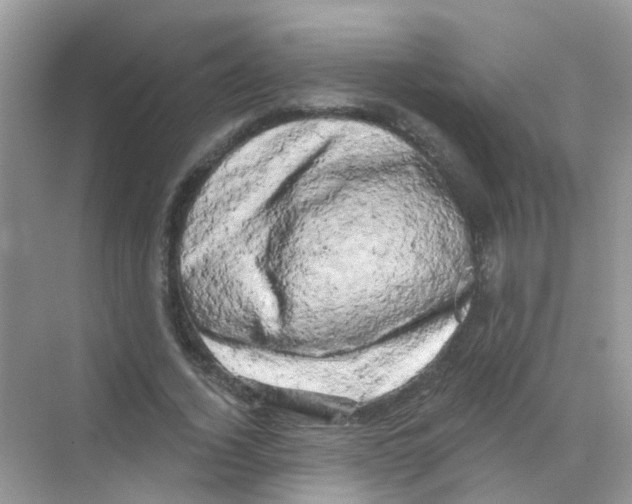 X0000068270732200605121845