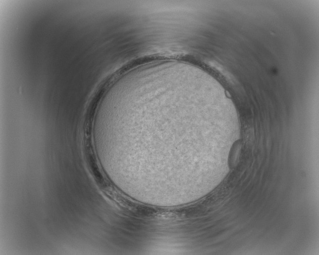 X0000068270736200605121845