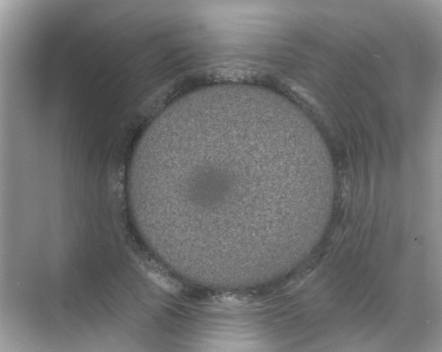 X0000068270737200605121845