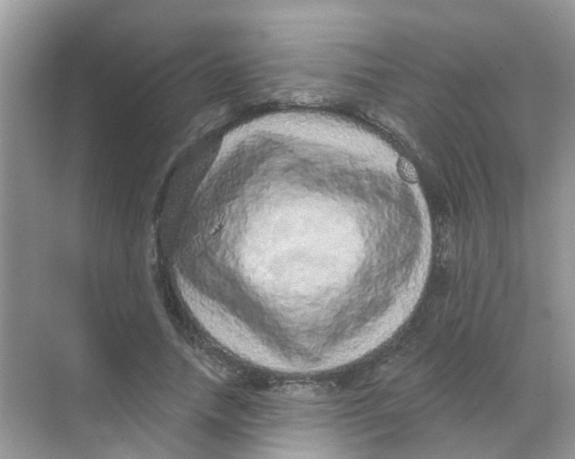 X0000068270738200605121845