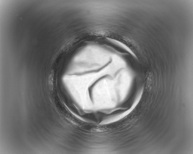 X0000068270739200605121845