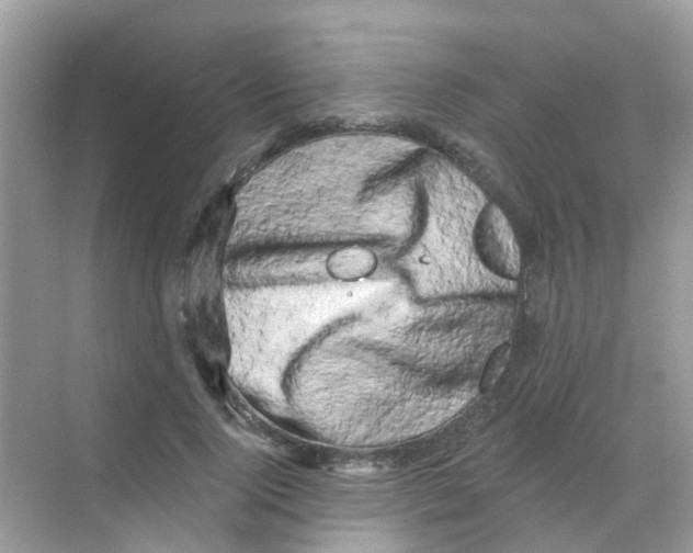 X0000068270740200605121845