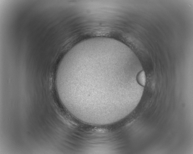 X0000068270741200605121845