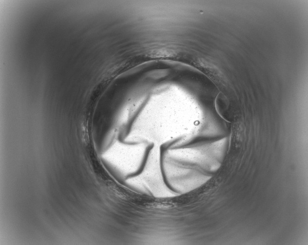 X0000068270743200605121845