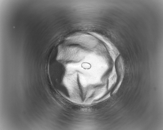 X0000068270744200605121845