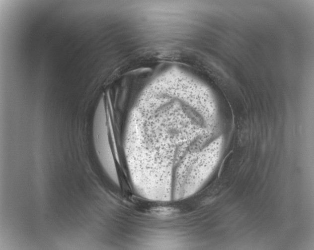 X0000068270748200605121845