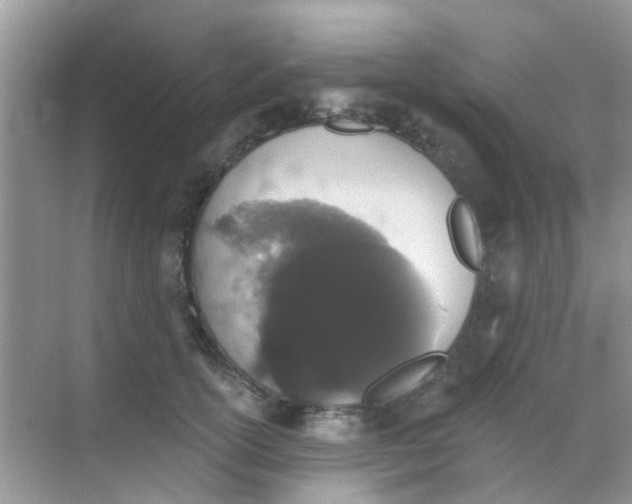 X0000068270754200605121846