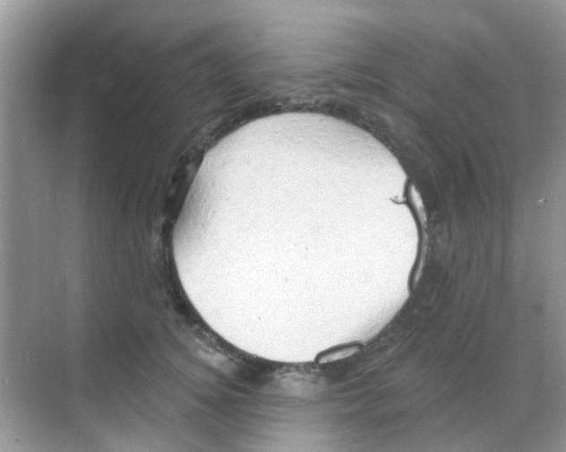 X0000068270756200605121846