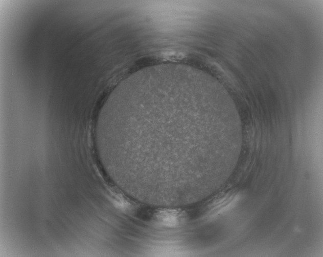 X0000068270757200605121846