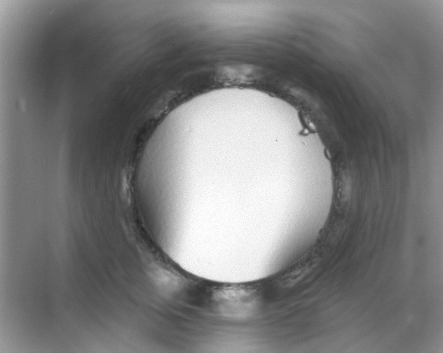 X0000068270759200605121846