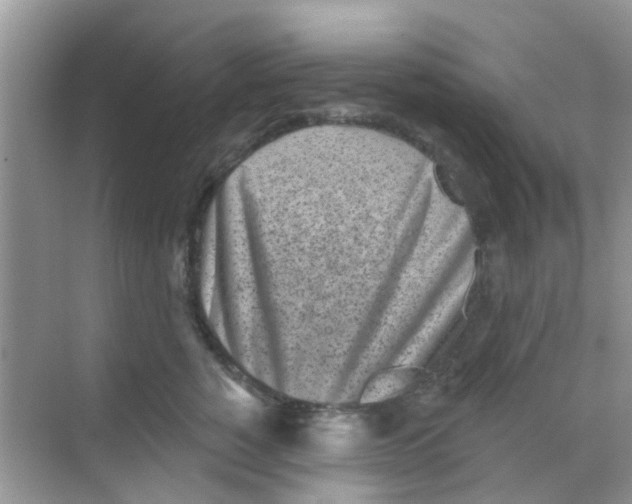 X0000068270760200605121846